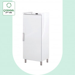 Armoire ABS GN2/1 négative...