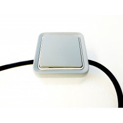 Panneau de commande déporté