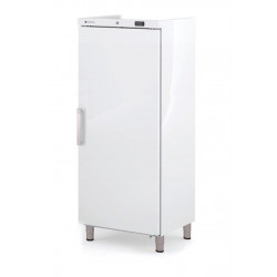 Armoire ABS GN2/1 positive...