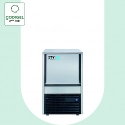 Machine à glaçons à palettes