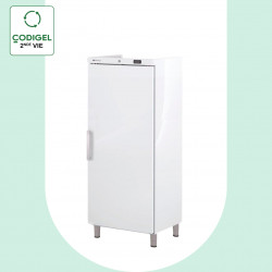 Armoire ABS GN2/1 positive...