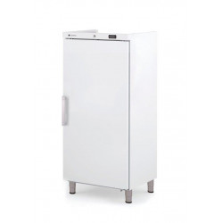 Armoire ABS GN2/1 négative...