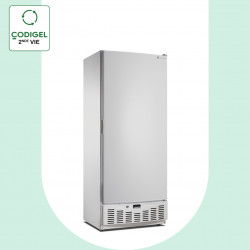 Armoire positive GN2/1 +...