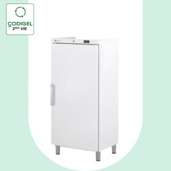 Armoire ABS GN2/1 positive...