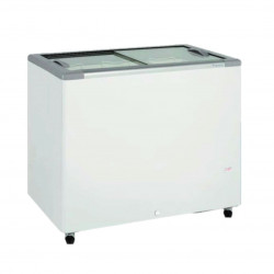 Congélateurs couvercle...
