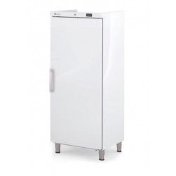 Armoire ABS GN2/1 négative...