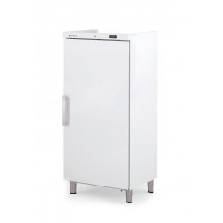Armoire ABS GN2/1 positive...