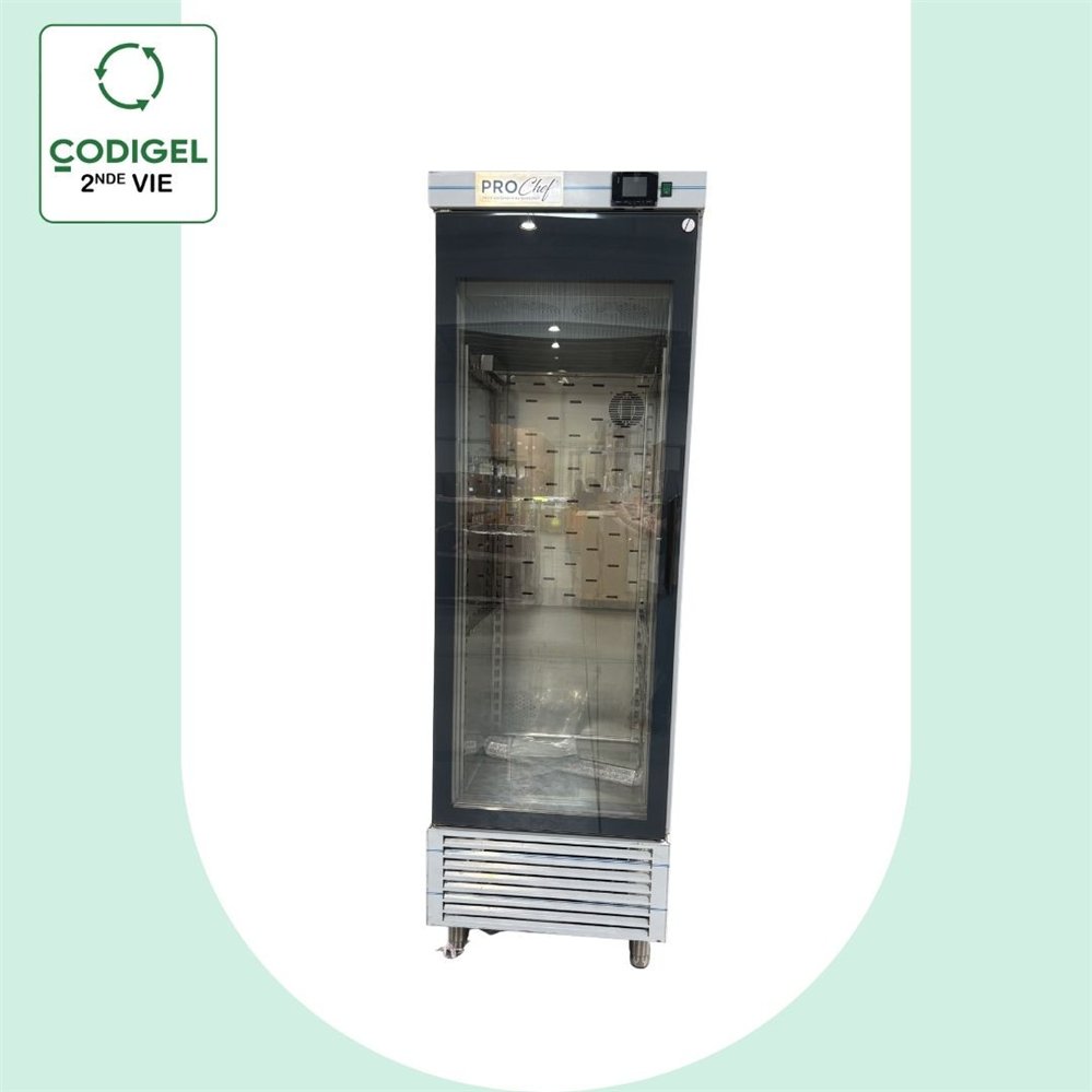 ASCV-S-751 ARMOIRE DE SECHAGE - SANS  ETUVAGE - DIM 680 X 745 X 2155/2230 (PIEDS REGLABLES) - CAPACITE 505 L - R290 - 230V/50HZ