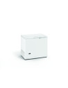 Congélateurs horizontale couvercle battant - Couleur blanche - 209L