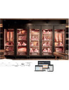 Module Wifi pour armoire Coreco