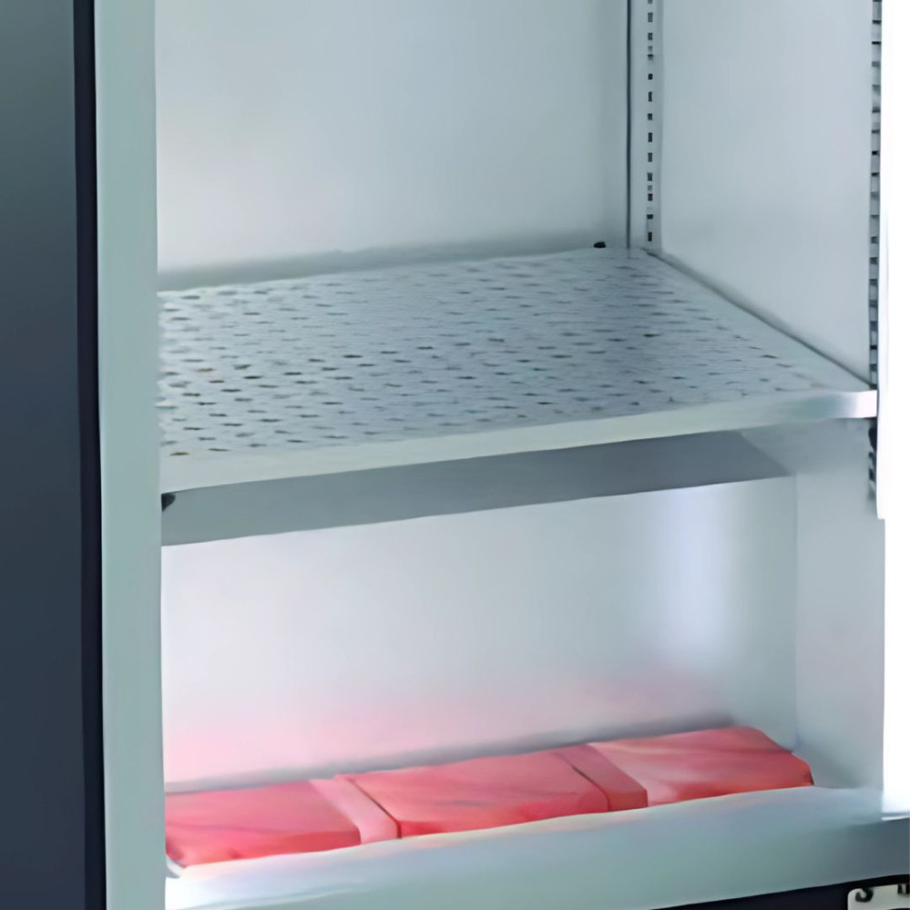 Etagère supplémentaire pour armoire de maturation DAV - 600x600x200mm 56ESDAV