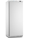 Armoire blanche ABS GN2/1 négative 1 porte pleine