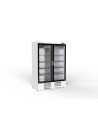 Armoire  gourmet 2 porte vitrée positive