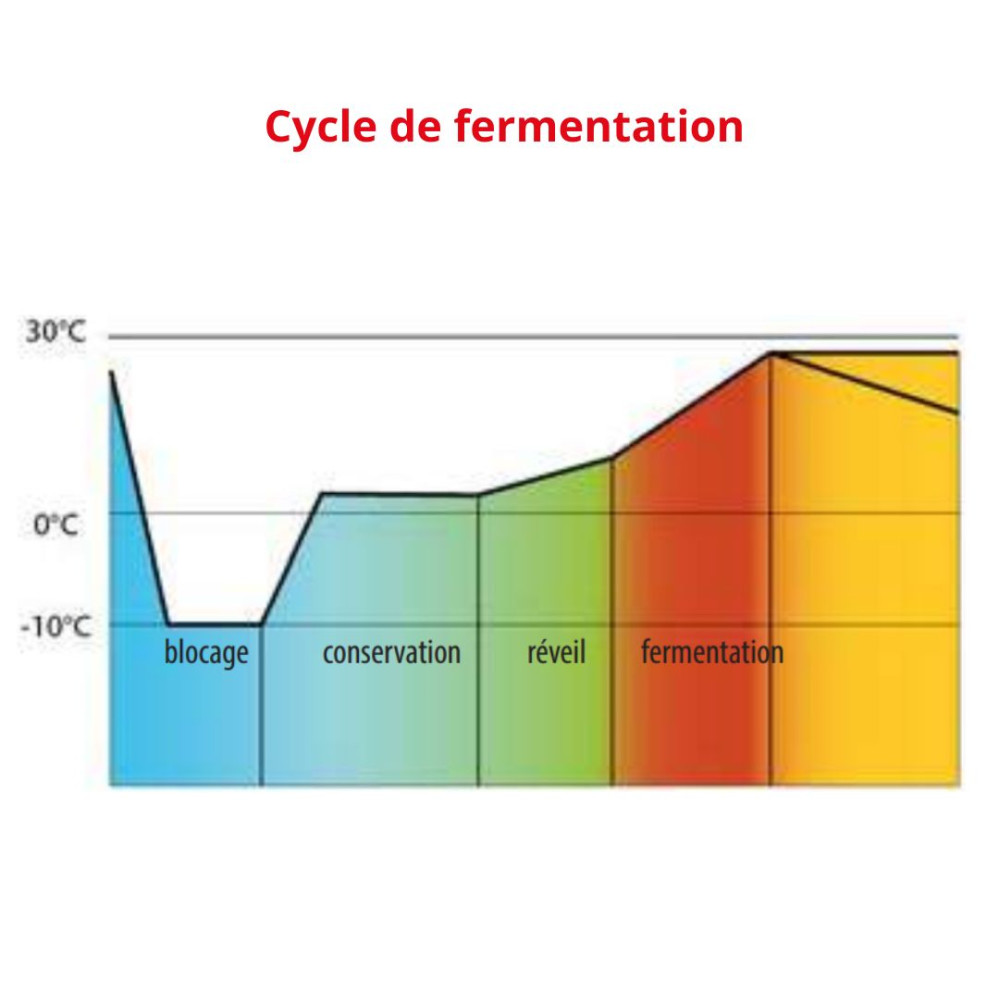 Armoire de fermentation