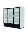 Armoire minimarket positive 3 portes