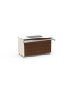 Smart Buffet cuve pour glaces