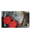 Alimentation eau froide