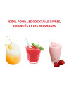 Machine à granité/milkshake - Sur comptoir - Débits intensifs - 1 parfum - 1 x 25 L