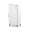 Armoire ABS GN2/1 négative 1 porte