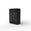 Armoire minimarket positive 2 portes