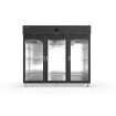 Armoire de maturation inox 3 portes vitrées