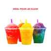 Machine à granité/slush - Sur comptoir - Débits intensifs - 1 parfum - 1 x 15 L