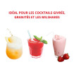Machine à granité/milkshake - Sur comptoir - Débits intensifs - 1 parfum - 1 x 25 L